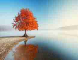 有‍啥‍机‌器​人﻿